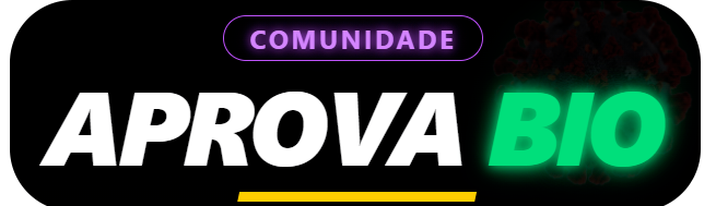 Cliente 4